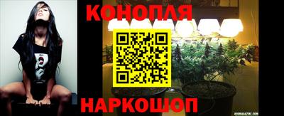 apvp Апрелевка