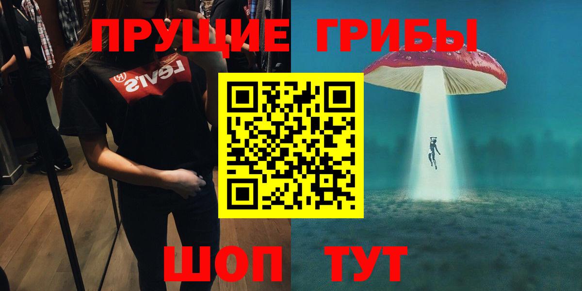 Баксан  Псилоцибиновые грибы прущие грибы  Вход с VPN 